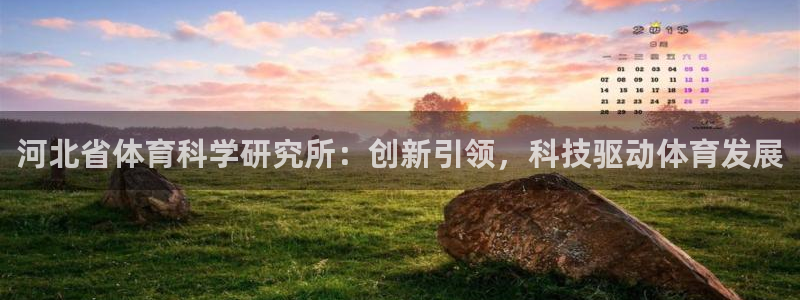 河北省体育科学研究所：创新引领，科技驱动体育发展