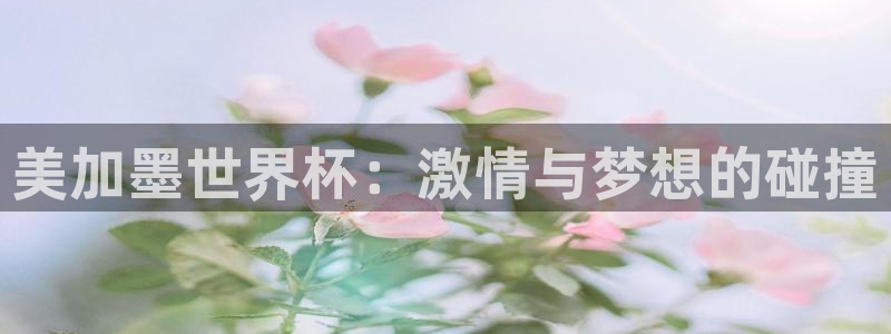 美加墨世界杯：激情与梦想的碰撞