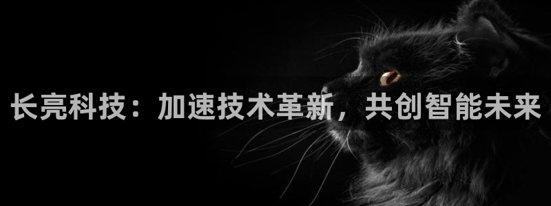 长亮科技：加速技术革新，共创智能未来