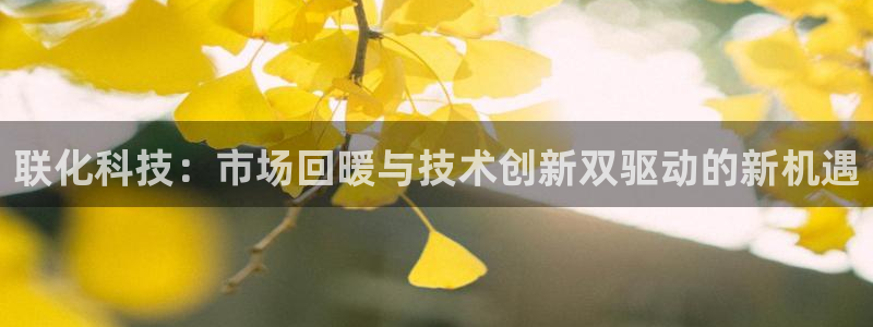 联化科技：市场回暖与技术创新双驱动的新机遇