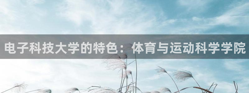 电子科技大学的特色：体育与运动科学学院