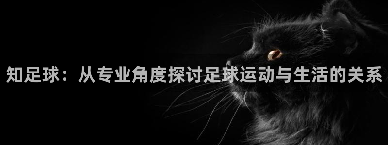 知足球：从专业角度探讨足球运动与生活的关系