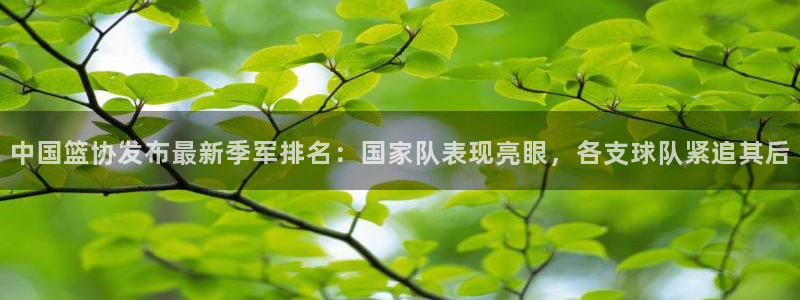 中国篮协发布最新季军排名：国家队表现亮眼，各支球队紧追其后