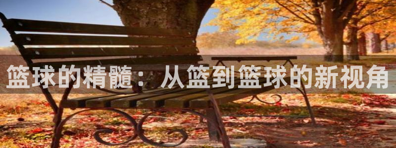 篮球的精髓：从篮到篮球的新视角